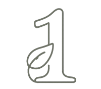 num-1 number 1